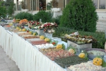 AMBIENTE KEMER - 3